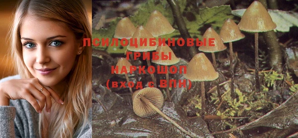 мдпв Нефтекумск