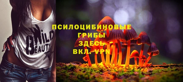 героин Новодвинск