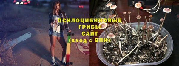 Альфа ПВП Инта