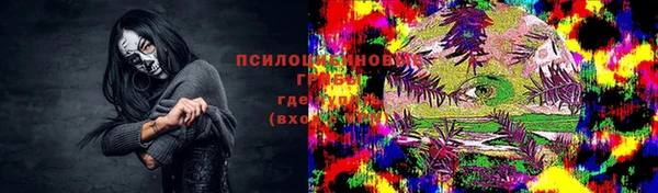Альфа ПВП Инта