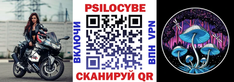 как найти наркотики  Камешково  Псилоцибиновые грибы Psilocybine cubensis 